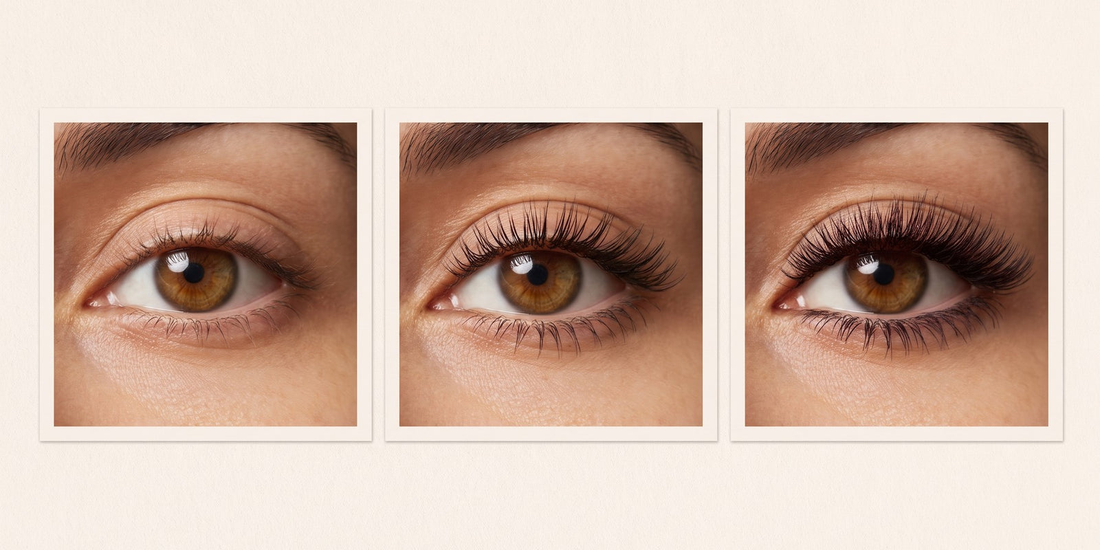 Trois gros plans du même œil montrant les styles Simple, Naturel et Complet de cils magnétiques Cléolya